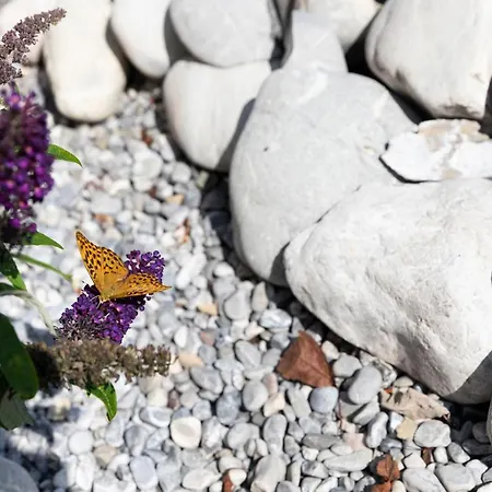 Bergidyll (adults Only) 2*