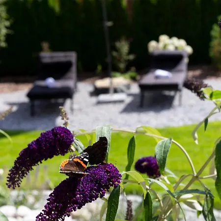 Hotel Hotel Garni Bergidyll - Adults Only Pfronten