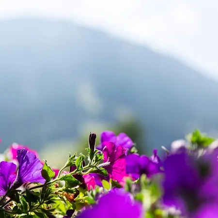 Hotel Garni Bergidyll - Adults Only 2* Pfronten